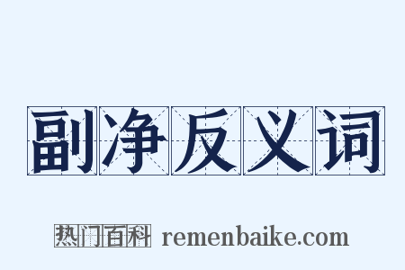 副净反义词是什么意思的图片